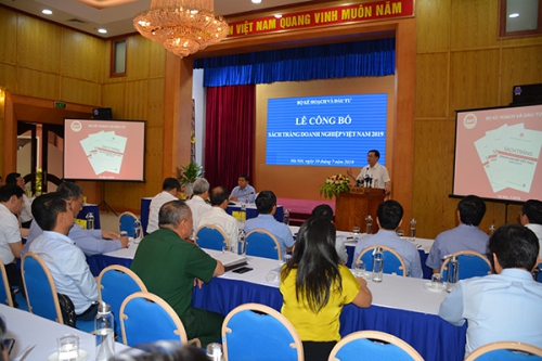 Lễ công bố và họp báo Sách trắng doanh nghiệp Việt Nam năm 2019 4