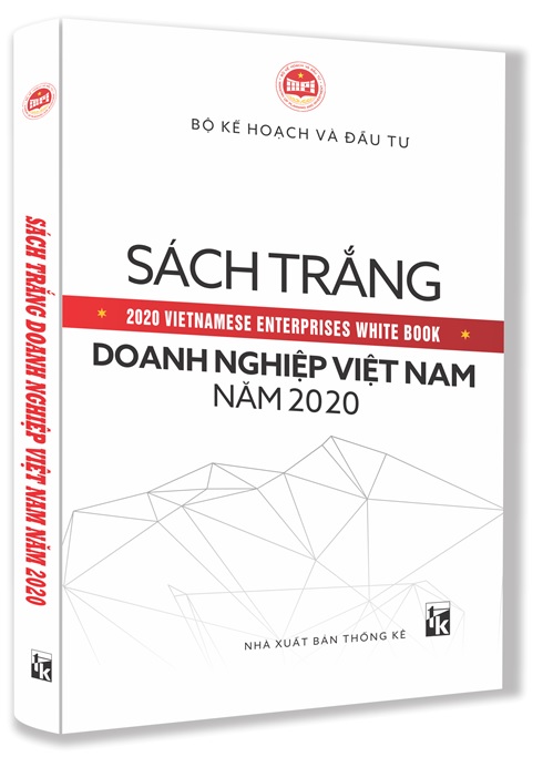 Doanh nghiệp Việt Nam năm 2019 - bức tranh toàn cảnh