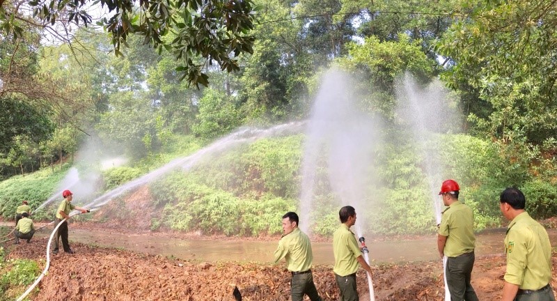 Thái Nguyên: tăng cường công tác quản lý bảo vệ rừng và phòng chống chữa cháy rừng 2