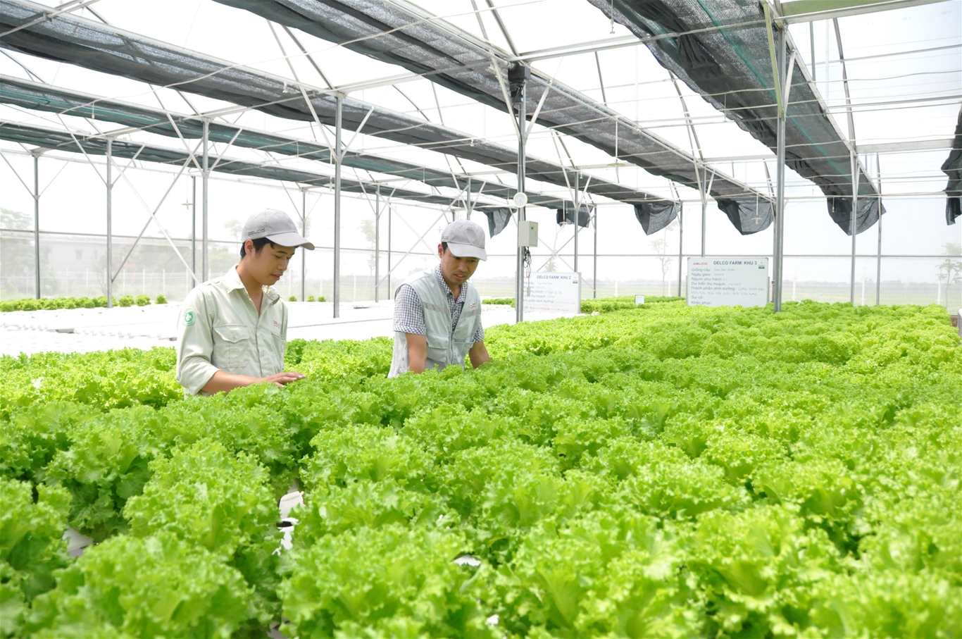 Thu hút vốn đầu tư phát triển sản xuất nông nghiệp ứng dụng công nghệ cao ở Hà Nội 1