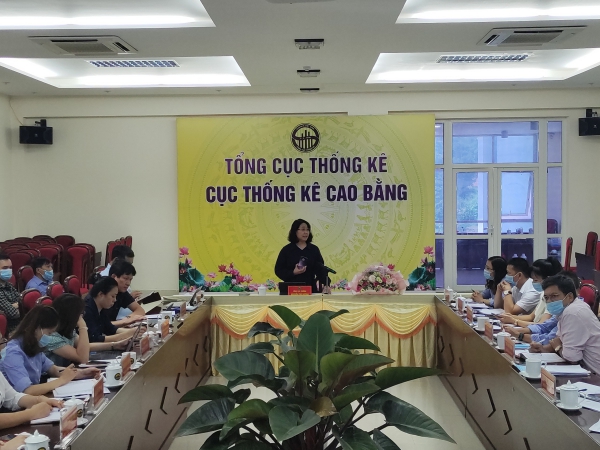Đoàn công tác Tổng cục thống kê giám sát Tổng điều tra kinh tế  2021 tại tỉnh Cao Bằng 2