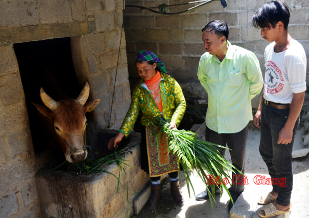 Giảm nghèo - chương trình trọng tâm trong phát triển kinh tế xã hội ở huyện Mèo Vạc tỉnh Hà Giang 5