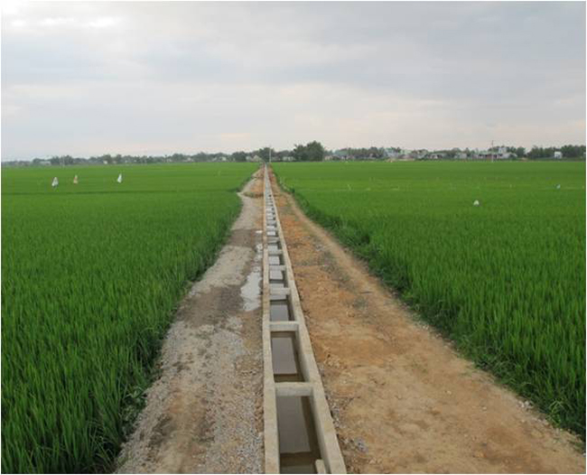 Nông thôn Bình Định qua kết quả điều tra nông thôn, nông nghiệp giữa kỳ năm2020 6