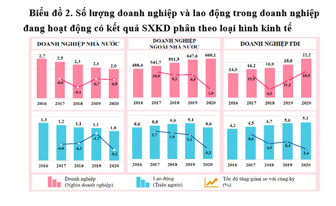 Doanh nghiệp Việt Nam – Dấu ấn tăng trưởng qua kết quả  Tổng điều tra kinh tế năm 2021 1