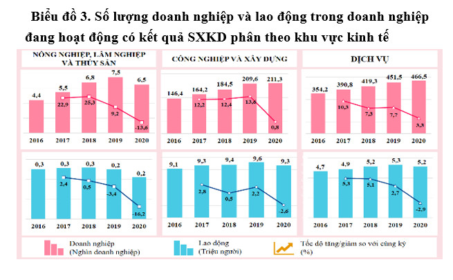Doanh nghiệp Việt Nam – Dấu ấn tăng trưởng qua kết quả  Tổng điều tra kinh tế năm 2021 2