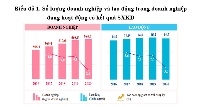Doanh nghiệp Việt Nam – Dấu ấn tăng trưởng qua kết quả  Tổng điều tra kinh tế năm 2021
