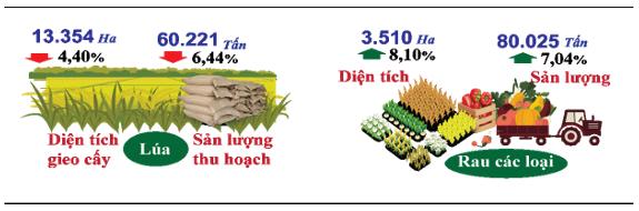 Bến Tre: Lĩnh vực nông, lâm nghiệp và thủy sản đạt nhiều chuyển biến tích cực