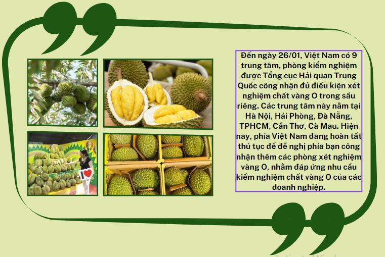 Sầu riêng - ngôi sao nông sản trên con đường xuất khẩu tỷ đô 6