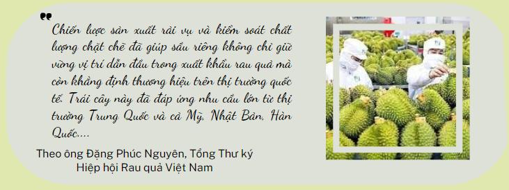 Sầu riêng - ngôi sao nông sản trên con đường xuất khẩu tỷ đô