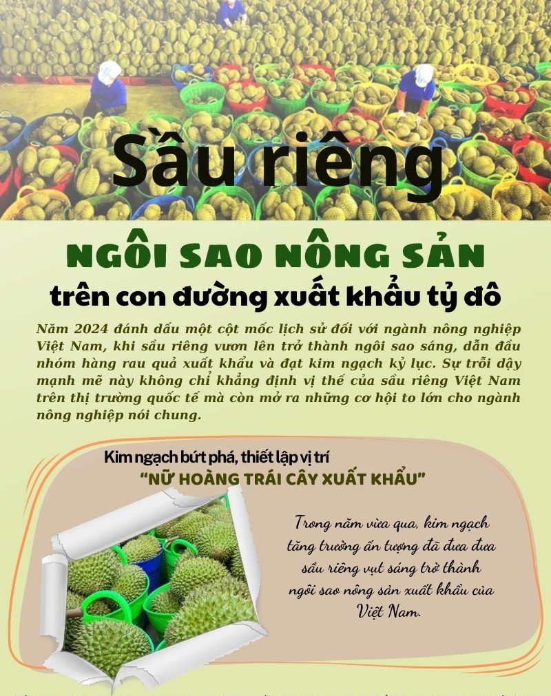 Sầu riêng - ngôi sao nông sản trên con đường xuất khẩu tỷ đô
