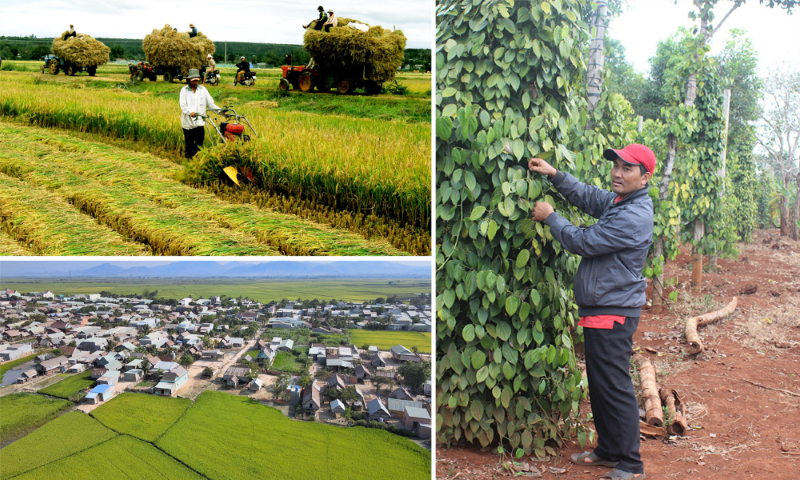 Gia Lai: Những nét chính từ Kết quả Điều tra nông thôn, nông nghiệp giữa kỳ năm 2020