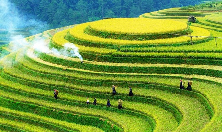 Huyện Mù Cang Chải: Nỗ lực vươn lên thoát nghèo