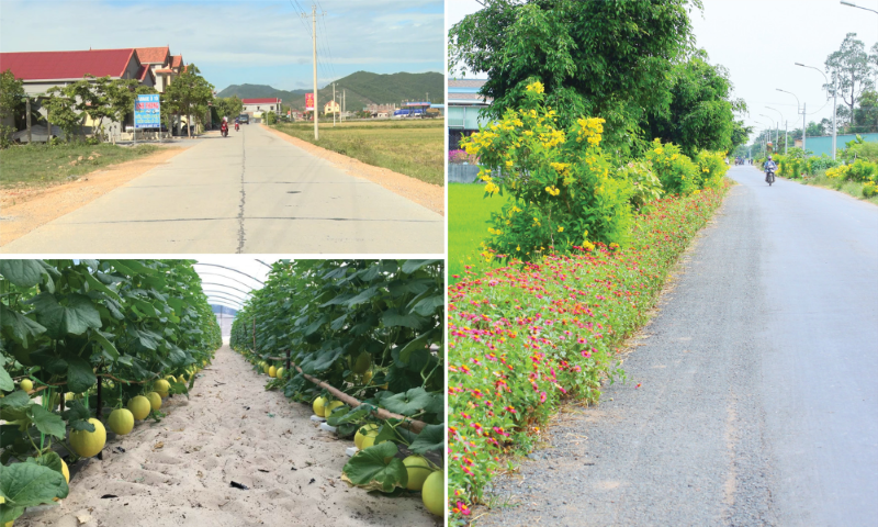 Những nét tươi sáng trong bức tranh kinh tế - xã hội khu vực nông thôn và nông, lâm nghiệp tỉnh Quảng Bình