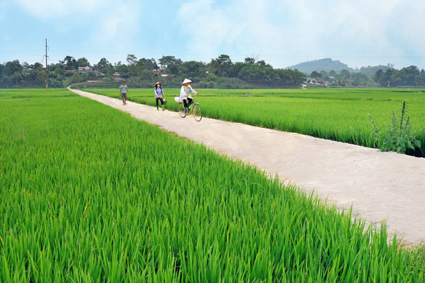 Nông thôn, nông nghiệp Tuyên Quang qua kết quả điều tra nông thôn, nông nghiệp giữa kỳ năm 2020