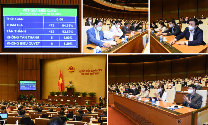 Quốc hội thông qua Luật sửa đổi, bổ sung một số điều của Luật Thống kê