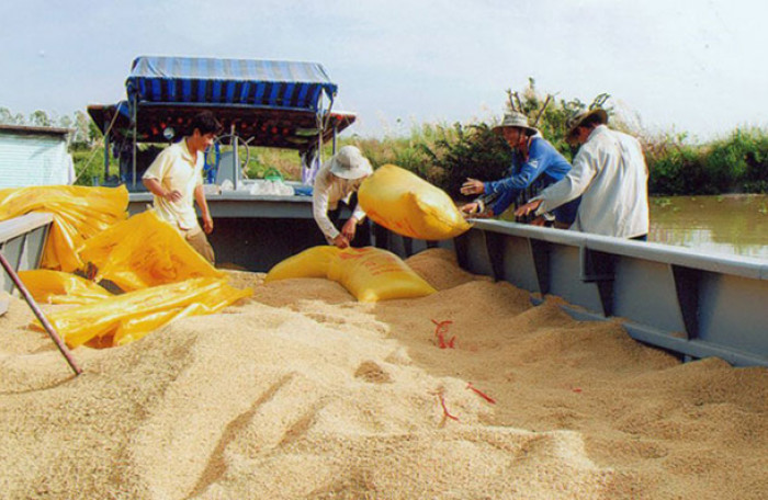 Tăng cường công tác quản lý, sửa đổi, bổ sung quy định về xuất khẩu gạo 