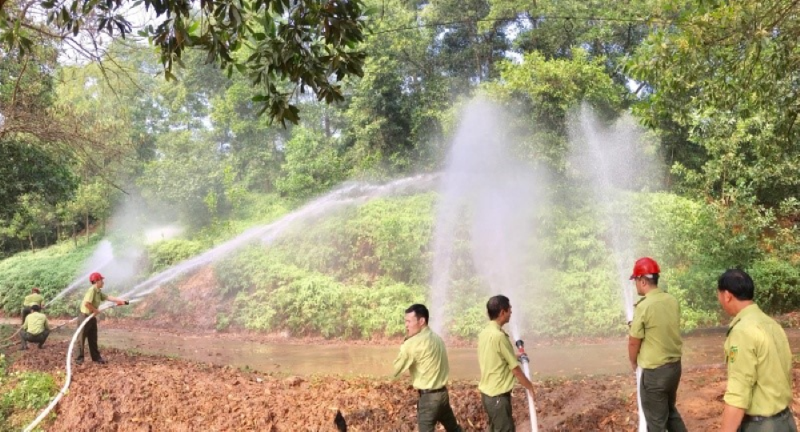 Thái Nguyên: tăng cường công tác quản lý bảo vệ rừng và phòng chống chữa cháy rừng