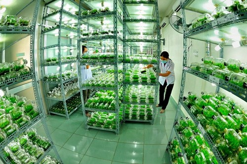 Thành phố Hồ Chí Minh: Kim ngạch xuất khẩu tăng 16,7% so với cùng kỳ năm trước
