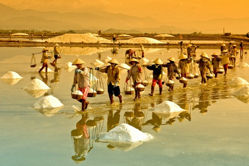 Thực trạng ngành muối Việt Nam