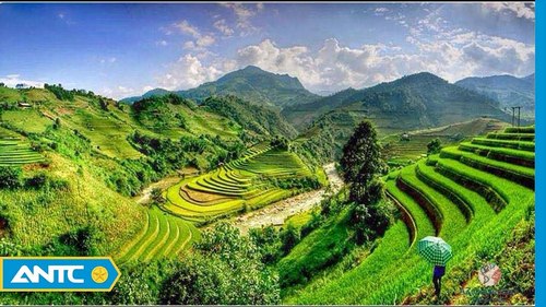 Đánh giá thực trạng và tiềm năng du lịch xanh tại Việt Nam  Cổng thông tin  Khoa học và Công nghệ