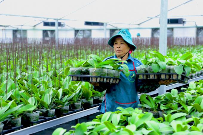 Thu hút vốn đầu tư phát triển sản xuất nông nghiệp ứng dụng công nghệ cao ở Hà Nội