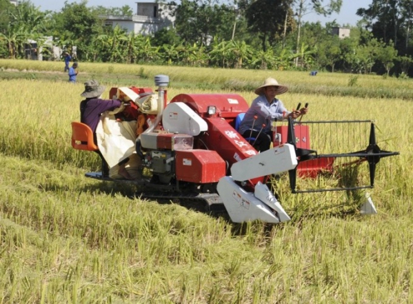 Diện mạo nông thôn, nông nghiệp tỉnh Thái Bình  qua kết quả điều tra nông thôn, nông nghiệp giữa kỳ năm 2020 2