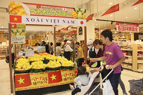 Mở “luồng xanh” đưa hàng hóa Việt Nam ra thế giới  