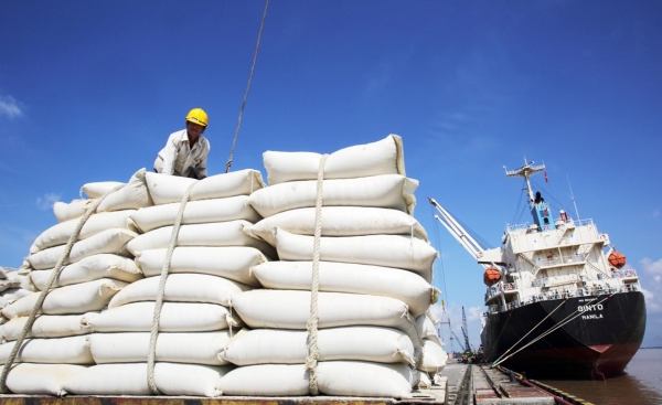 Thách thức xuất khẩu gạo những tháng cuối năm 2021 1