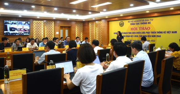 Hội thảo “Hoàn thiện kế hoạch thực hiện Chiến lược phát triển Thống kê Việt Nam giai đoạn 2021-2030, tầm nhìn đến năm 2045” 5