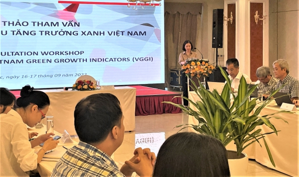 Hội thảo tham vấn Dự thảo Bộ chỉ tiêu tăng trưởng xanh Việt Nam 2