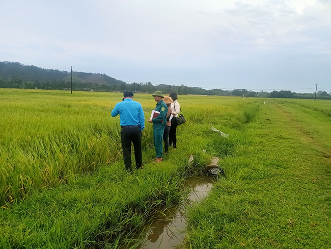 Huyện Can Lộc tổ chức đánh giá năng suất, sản lượng các loại cây trồng vụ xuân năm 2023 3