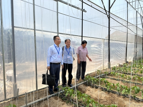Đoàn công tác Tổng cục Thống kê làm việc với Cục Thống kê tỉnh Lâm Đồng về Điều tra thí điểm Tổng điều tra Nông thôn, nông nghiệp năm 2025 6