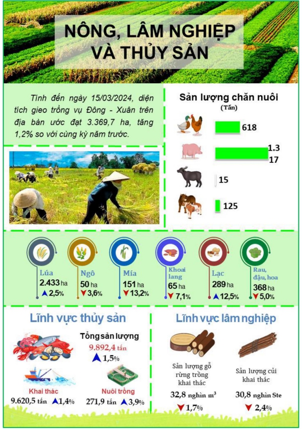 Tình hình kinh tế - xã hội thành phố Đà Nẵng quý I/2024 2