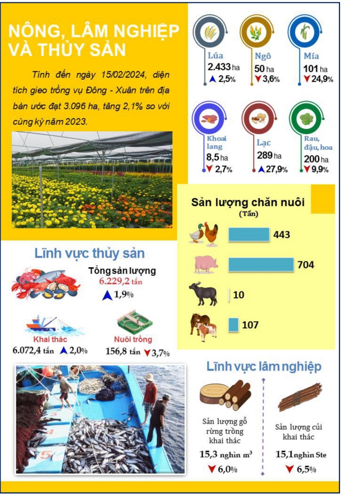 Tình hình kinh tế - xã hội thành phố Đà Nẵng tháng 02/2024 1