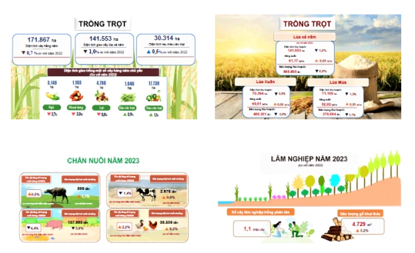 Tình hình kinh tế-xã hội tỉnh Nam Định năm 2023 1