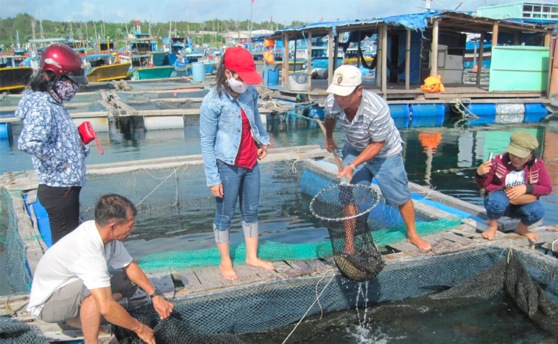 Bình Thuận - duy trì ổn định hoạt động nuôi trồng, đánh bắt thủy sản