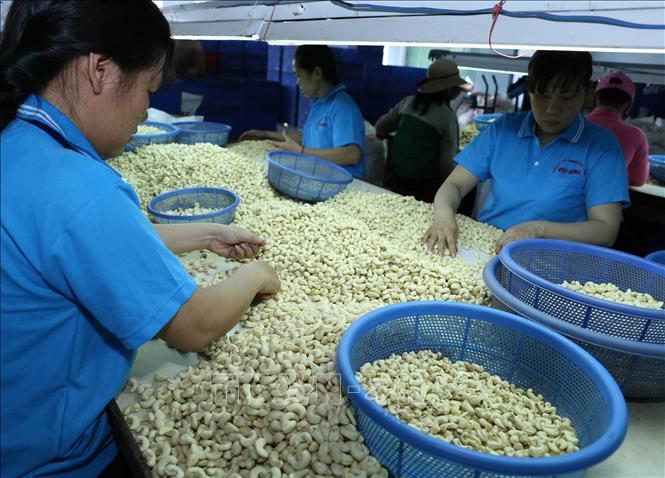 Bình Định: Kim ngạch xuất, nhập khẩu hàng hóa tăng 7,3% so với cùng kỳ năm 2018