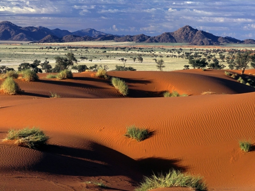Chống sa mạc hóa tại Châu Phi