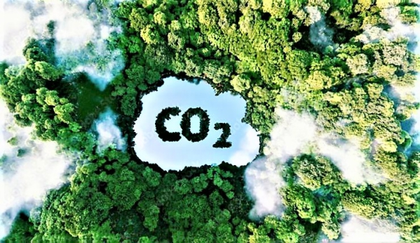Giải pháp thúc đẩy phát triển thị trường carbon tại Việt Nam