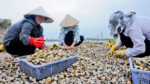 Huyện Giao Thủy: Khai thác hiệu quả tiềm năng, thế mạnh kinh tế biển