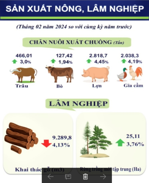 Một số chỉ tiêu kinh tế - xã hội tỉnh Lạng Sơn tháng 2/2024