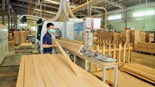Ngành đồ gỗ nội thất Việt Nam: Cơ hội và thách thức