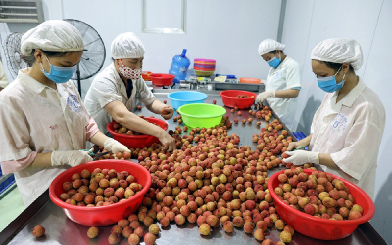 Ngành Nông nghiệp Bắc Giang: Nỗ lực phát triển, mạnh mẽ chuyển mình