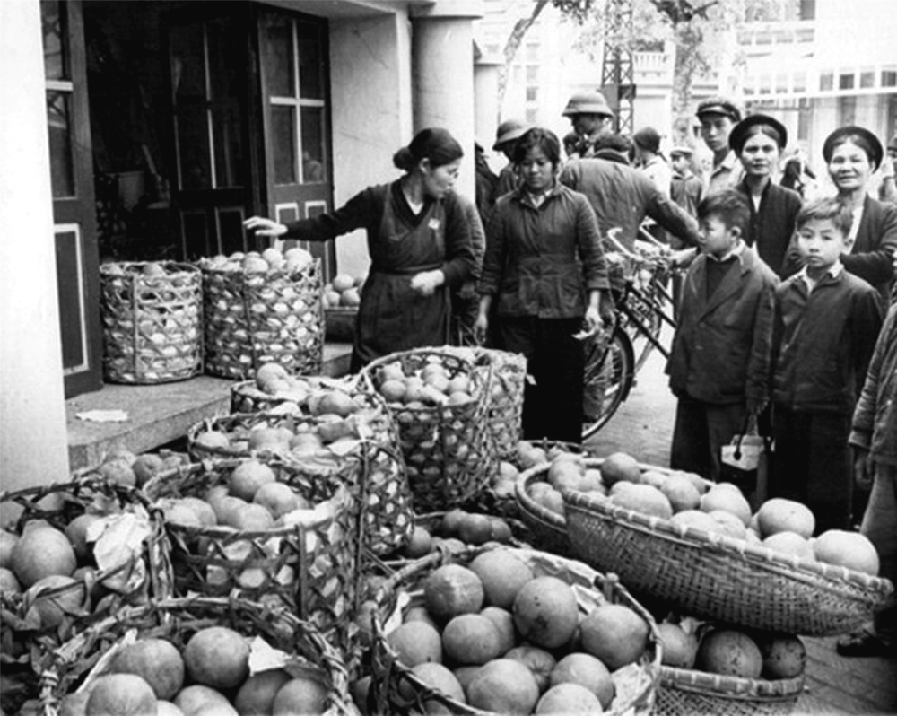 Những yêu cầu, nhiệm vụ đặt ra đối với công tác Thống Kê Việt Nam thời kỳ 1955-1975