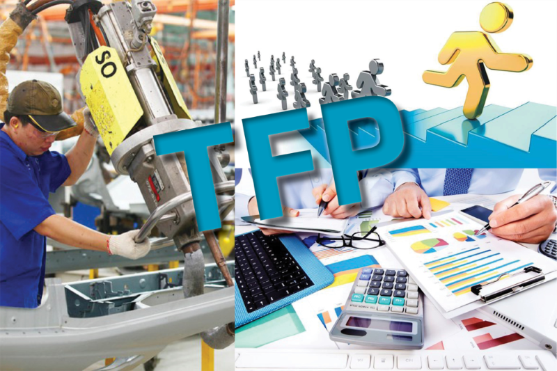 Nội dung, phương pháp tính và cách đánh giá tốc độ tăng năng suất các nhân tố tổng hợp - TFP                        