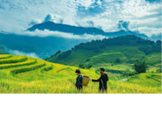 Nông nghiệp Việt Nam năm 2021 tiếp tục duy trì đà tăng trưởng ổn định