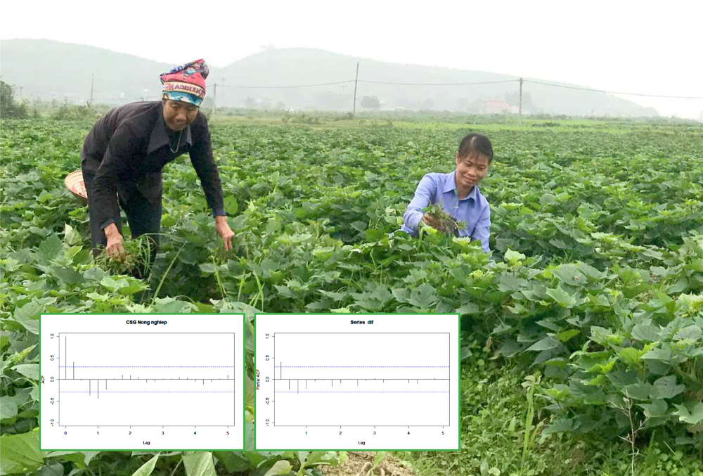 Phân tích một số nhân tố tác động chỉ số giá sản xuất sản phẩm nông nghiệp và dự báo giai đoạn 2023-2030 ở Việt Nam