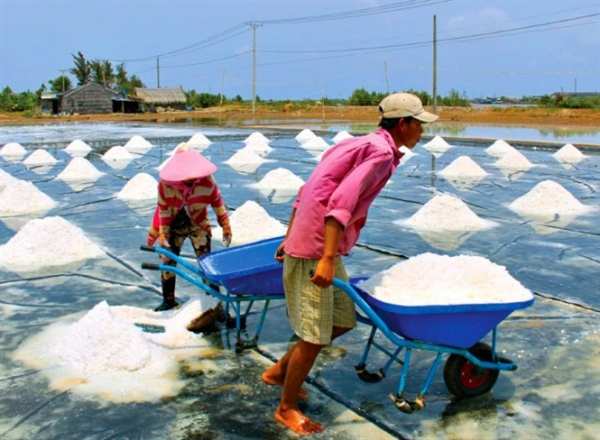 Phát triển ngành muối Việt Nam