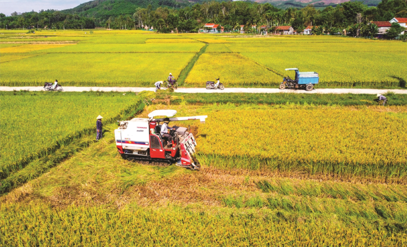 Quảng Nam - Đẩy mạnh phát triển kinh tế nông nghiệp