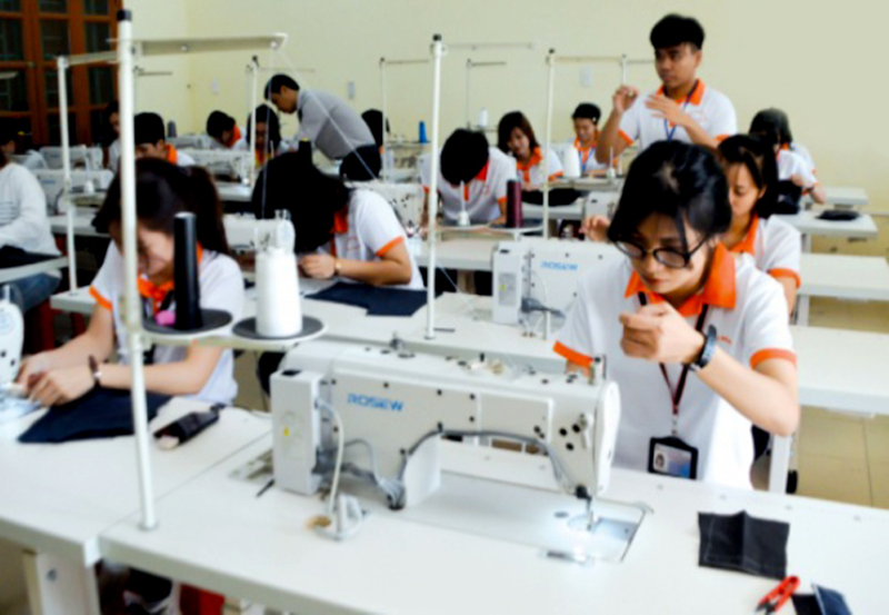 Thái Bình: Đẩy mạnh đào tạo nghề, giới thiệu việc làm cho người lao động